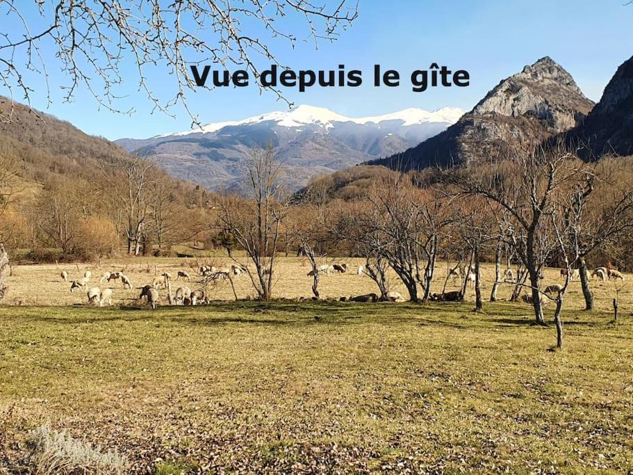 Villa Grange En Pierres. Grand Jardin Et Belle Vue Saurat Exterior foto
