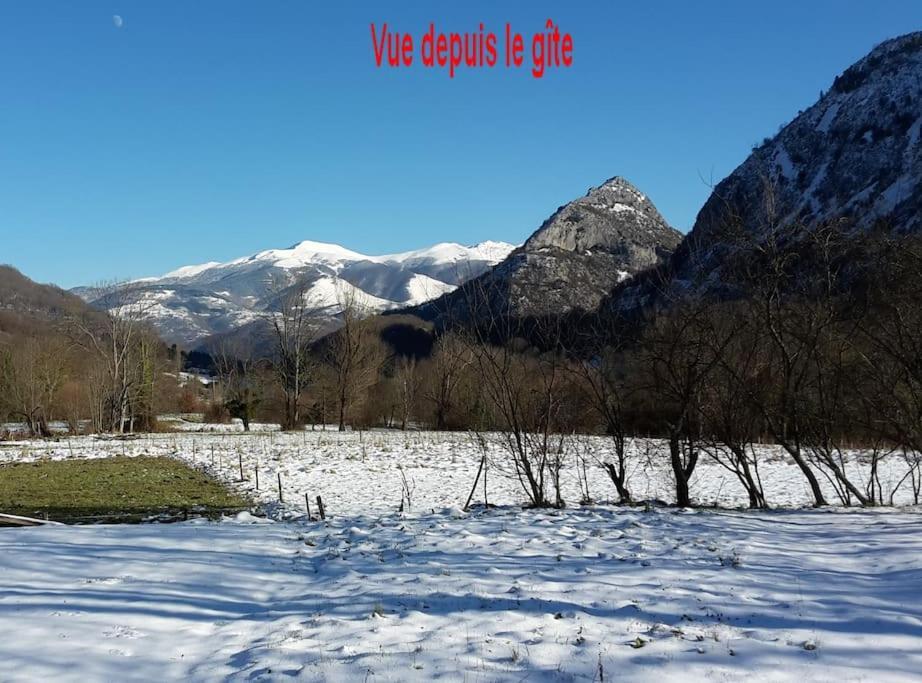 Villa Grange En Pierres. Grand Jardin Et Belle Vue Saurat Exterior foto
